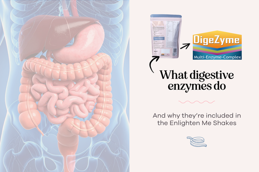 What Digestive Enzymes Do (and Why They’re in the Enlighten Me Shake)