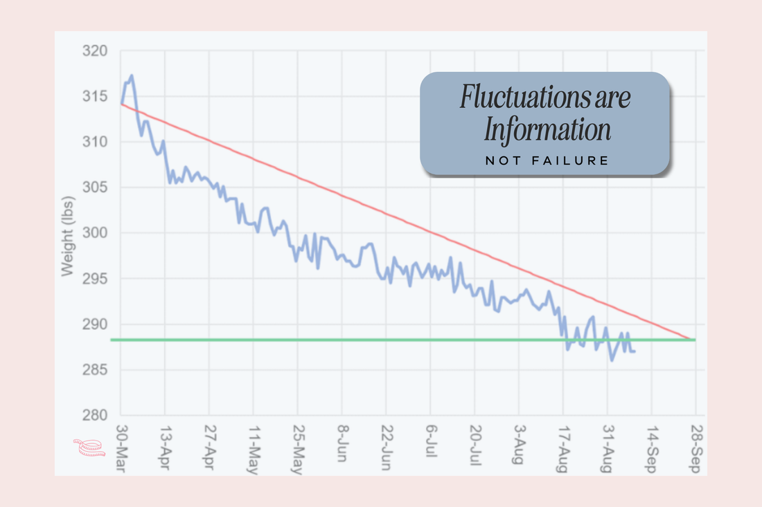 Fluctuations Are information - Not Failure