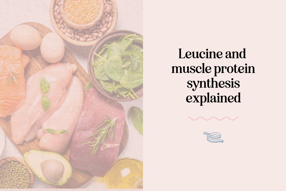 Leucine and Muscle Protein Synthesis Explained